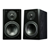 SVS Prime Bookshelf Speaker - Black Ash